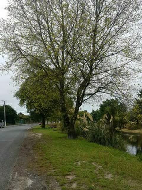 Parks, a report photo