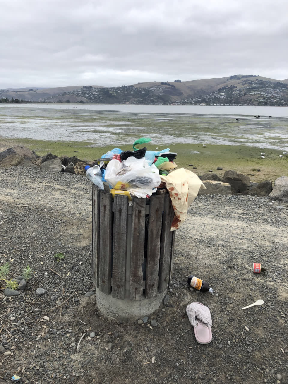 The photograph attached to this rubbish/recycling report