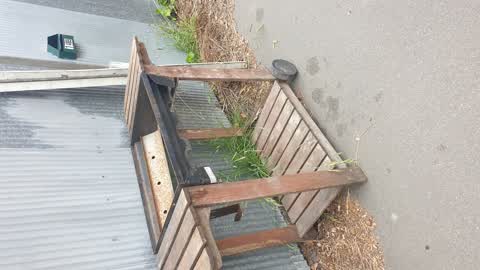 Rubbish/Recycling — a report photo