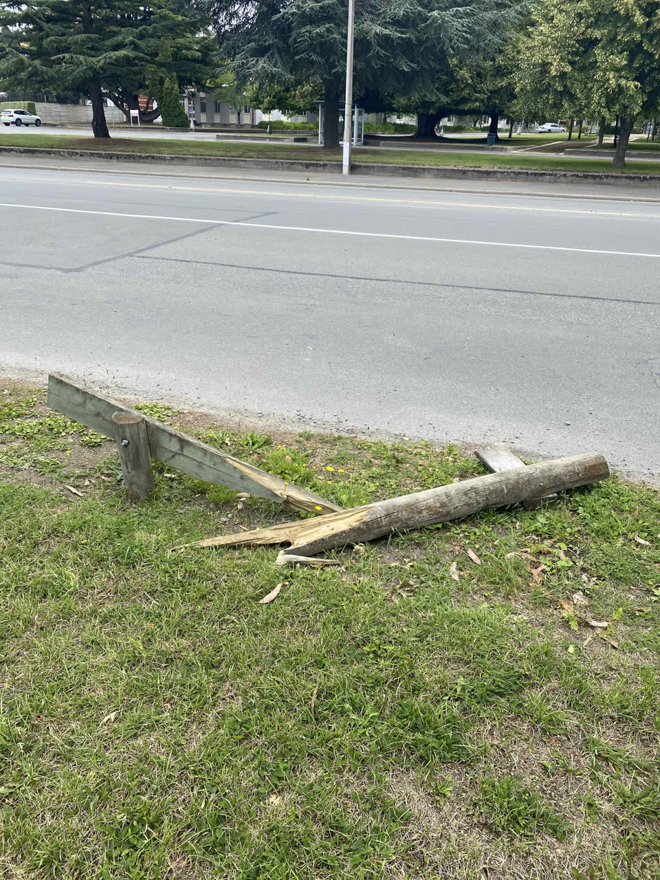 The photograph attached to this parks report