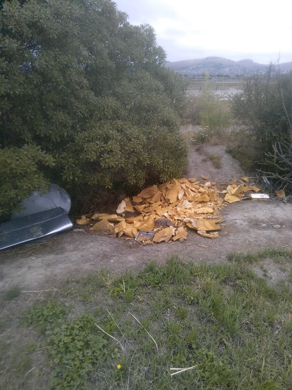 The photograph attached to this rubbish/recycling report