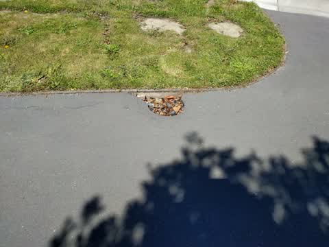 Roading/Streets, a report photo
