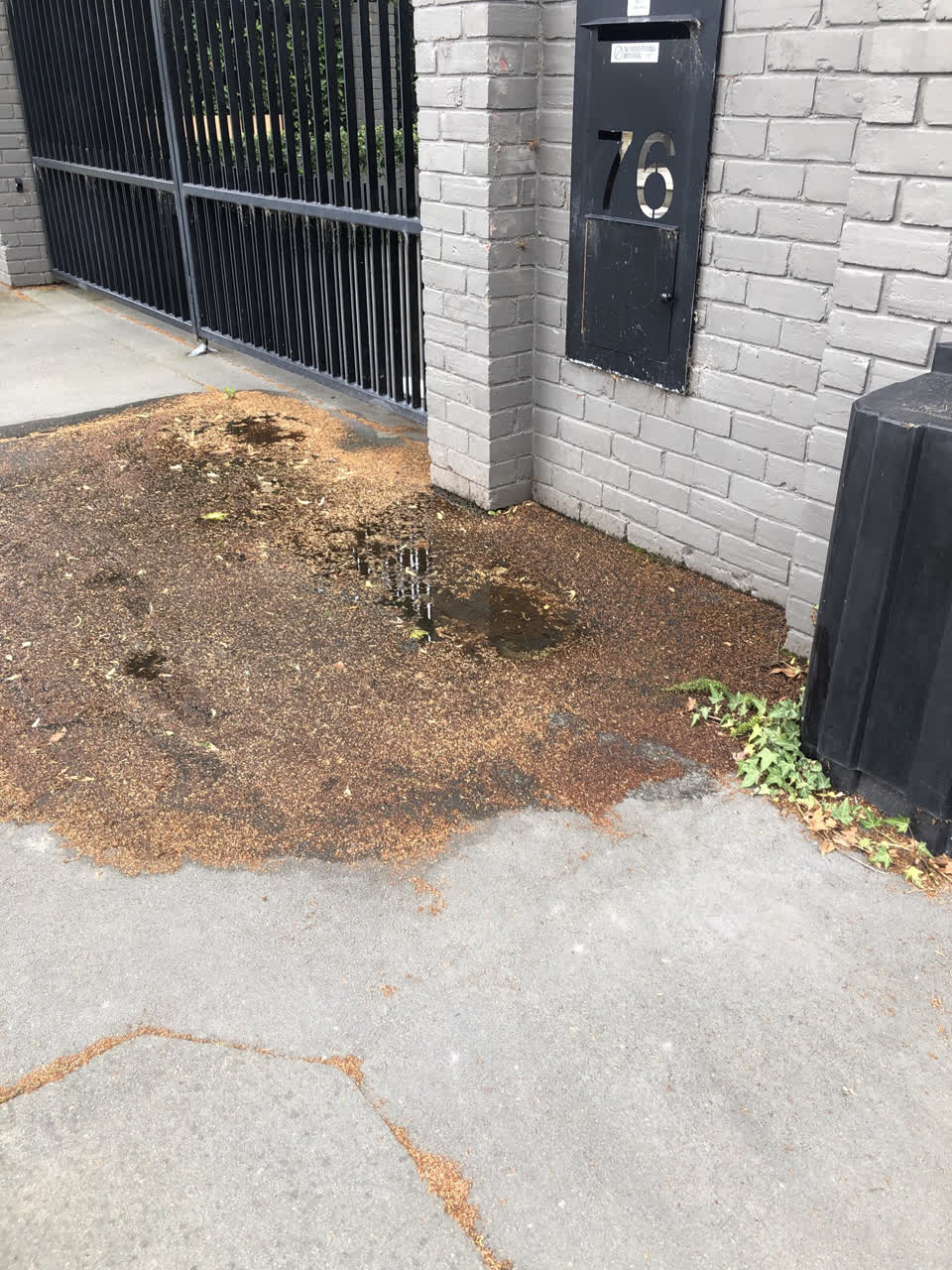 The photograph attached to this water leak report