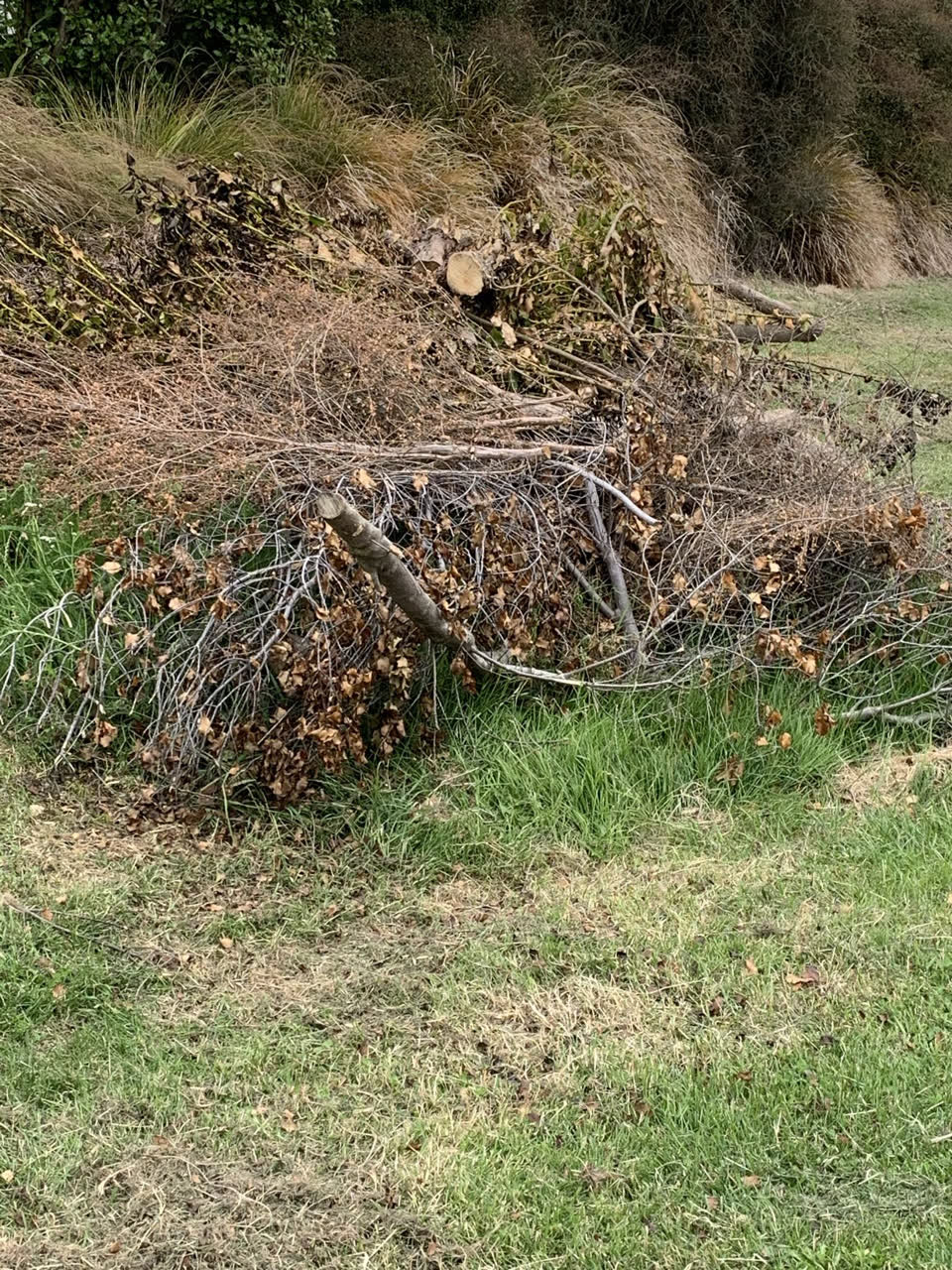 The photograph attached to this parks report