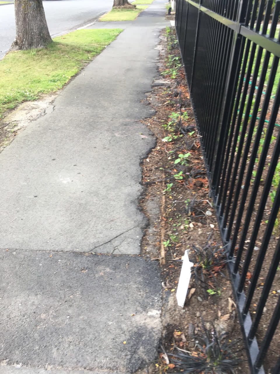 The photograph attached to this street light outage report
