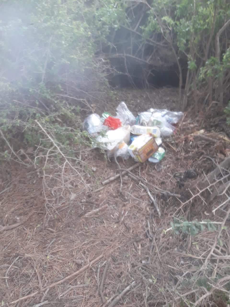 The photograph attached to this rubbish/recycling report