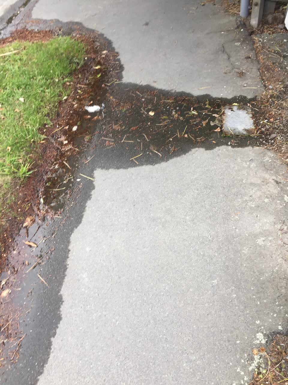 The photograph attached to this water leak report