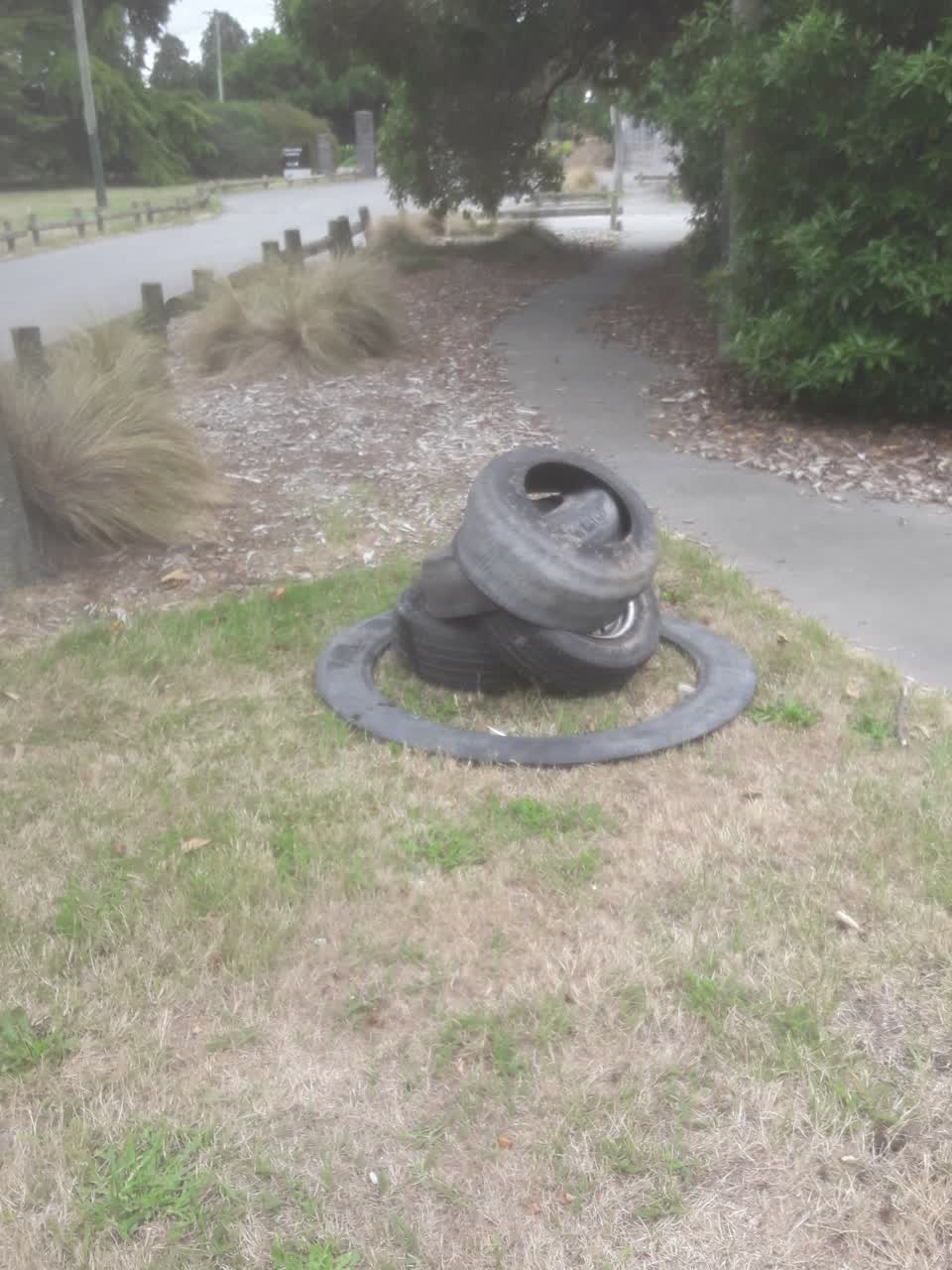 The photograph attached to this rubbish/recycling report