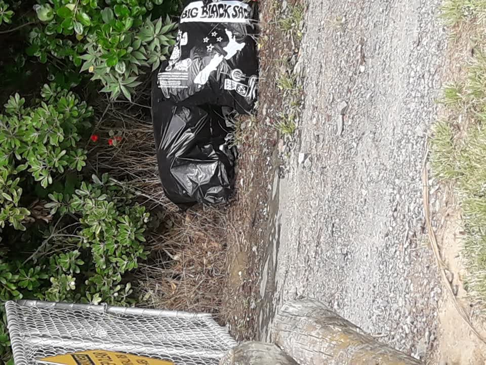 The photograph attached to this parks report