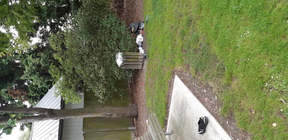 The photograph attached to this parks report