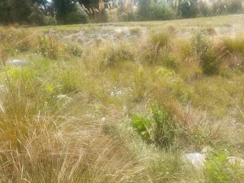 Parks, a report photo