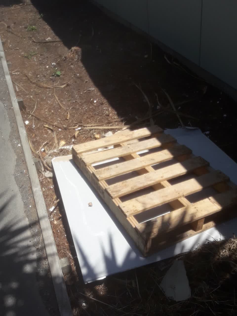 The photograph attached to this rubbish/recycling report