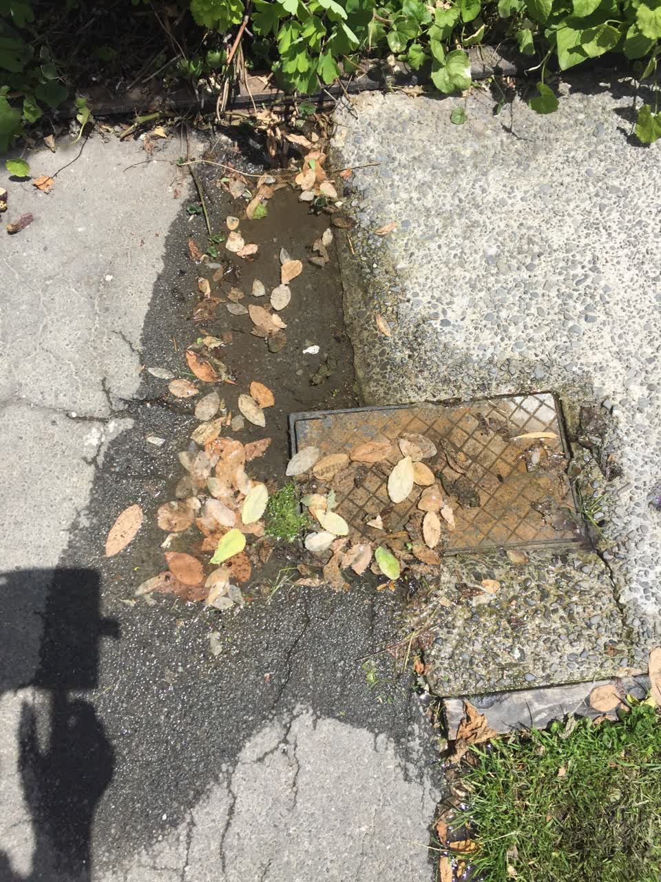 The photograph attached to this water leak report