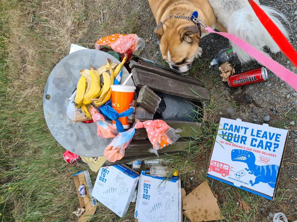 The photograph attached to this rubbish/recycling report