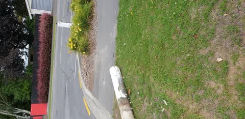 Roading/Streets, a report photo