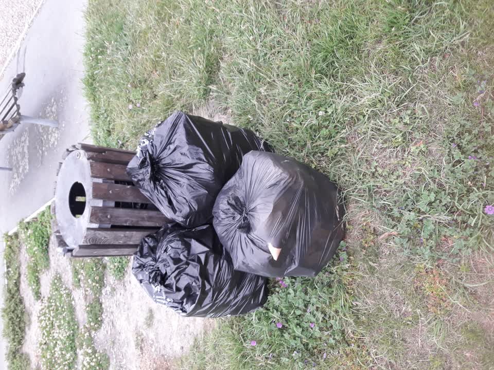 The photograph attached to this parks report