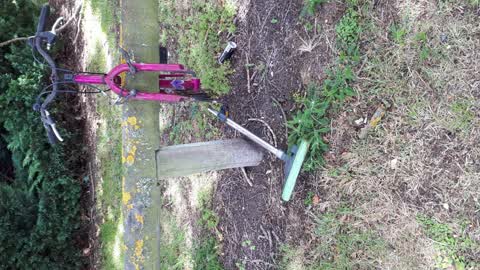 Rubbish/Recycling, a report photo