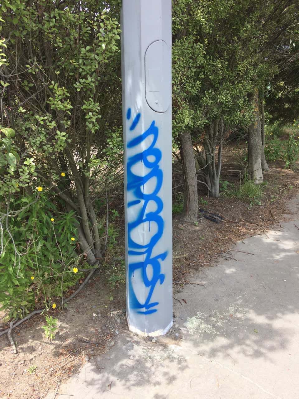 The photograph attached to this graffiti report