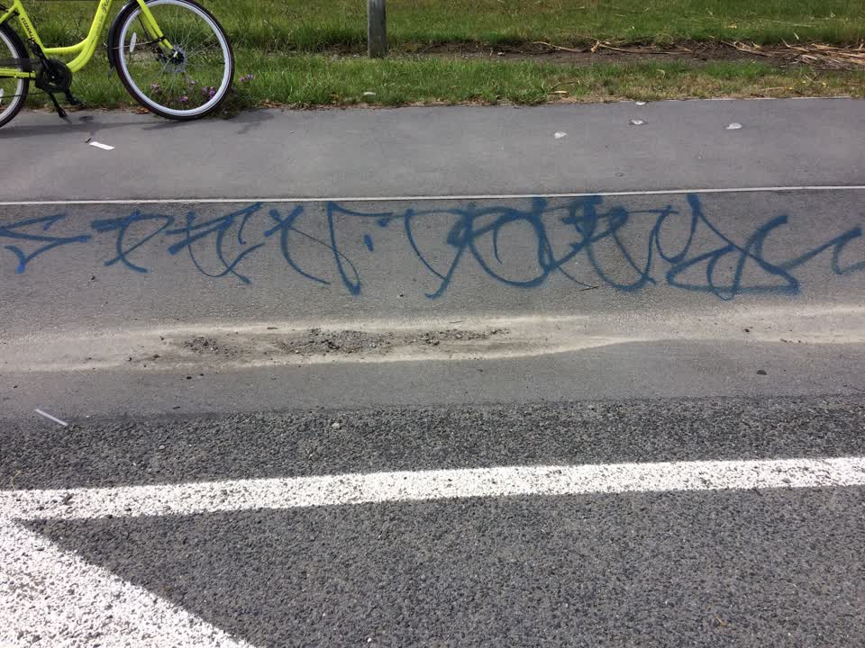 The photograph attached to this graffiti report