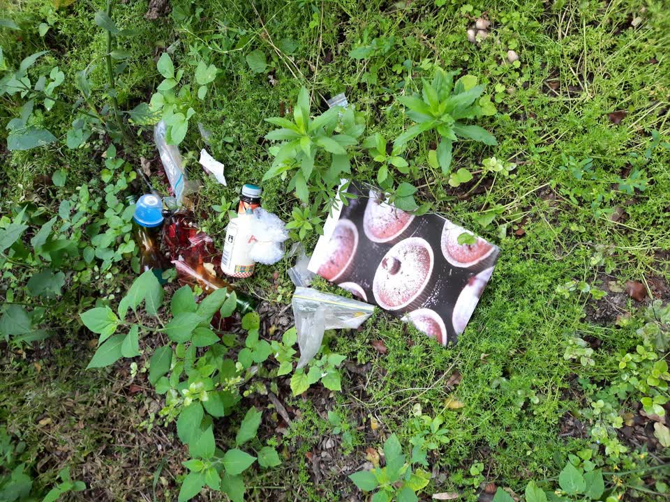 The photograph attached to this rubbish/recycling report
