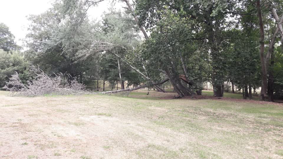 The photograph attached to this parks report