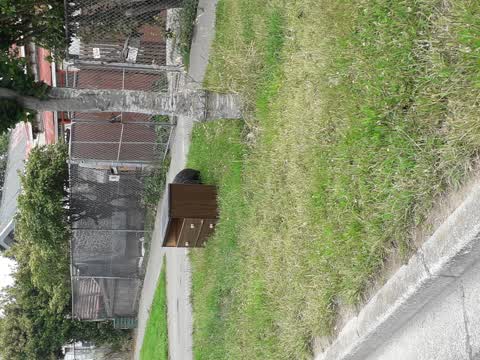 Rubbish/Recycling — a report photo
