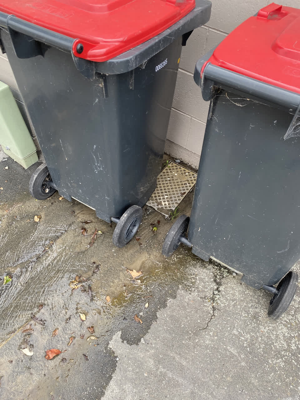The photograph attached to this water leak report