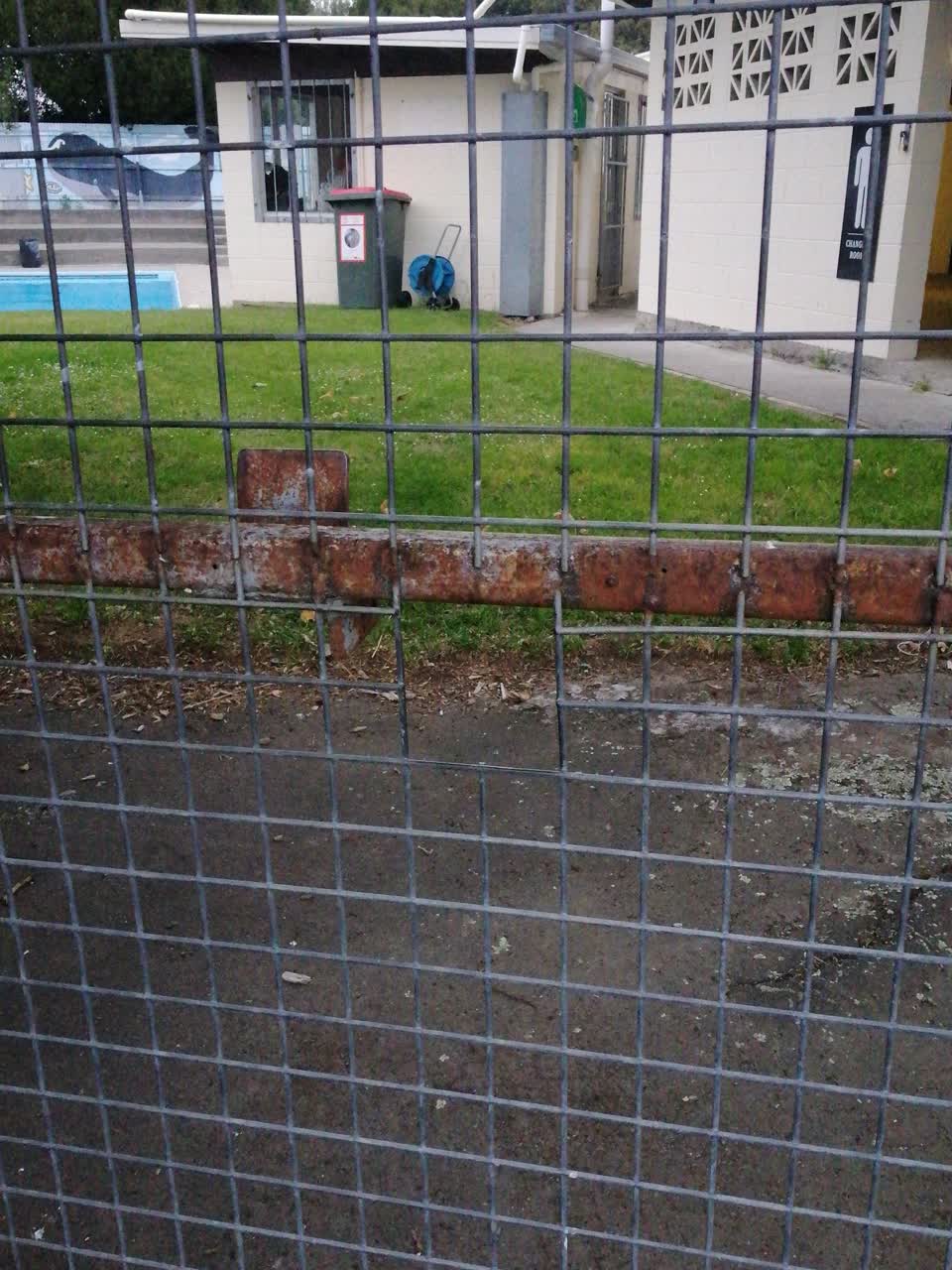 The photograph attached to this parks report