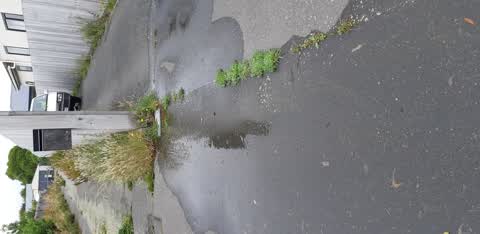 Water Leak, a report photo
