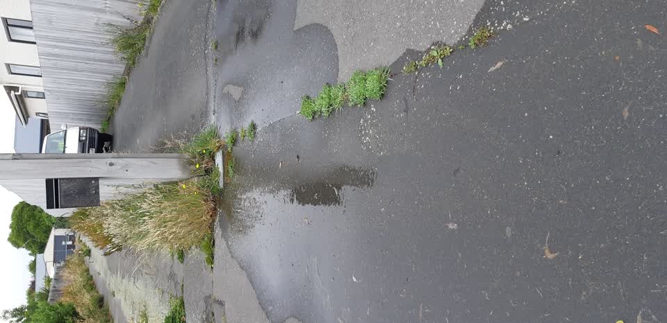 The photograph attached to this water leak report