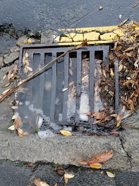 Wastewater/Stormwater, a report photo