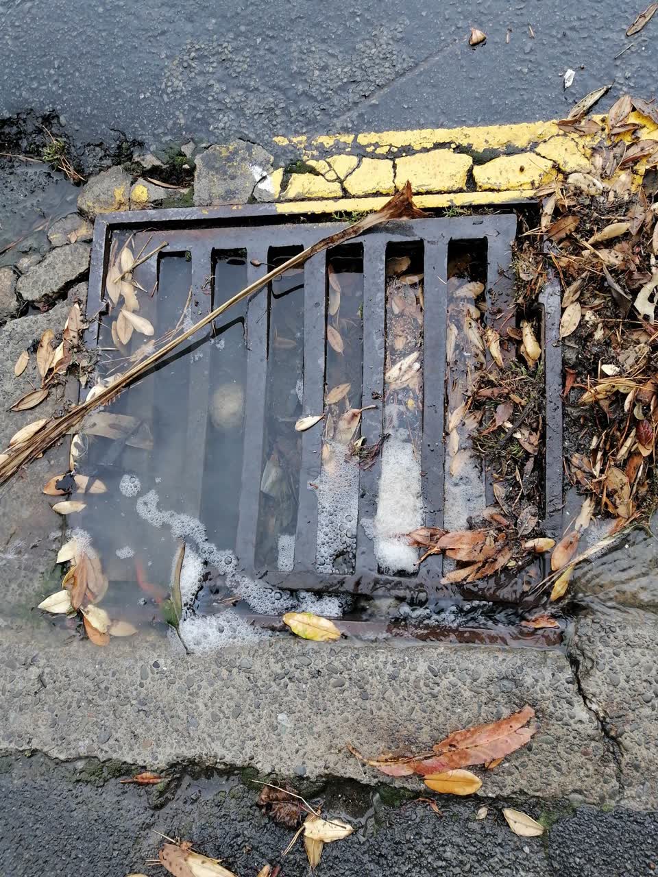 The photograph attached to this wastewater/stormwater report
