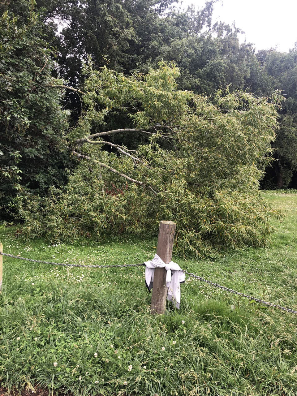The photograph attached to this parks report