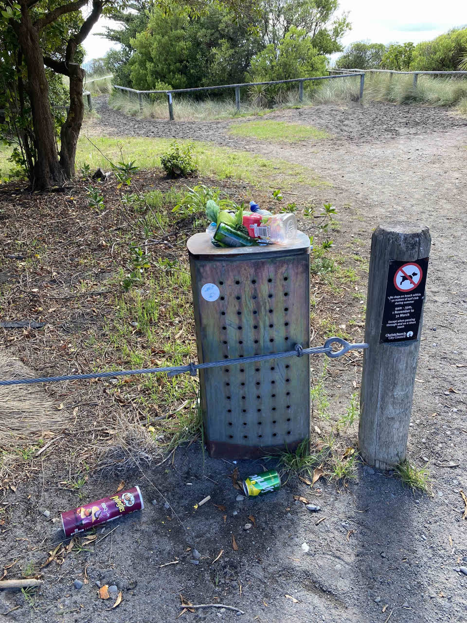 The photograph attached to this rubbish/recycling report