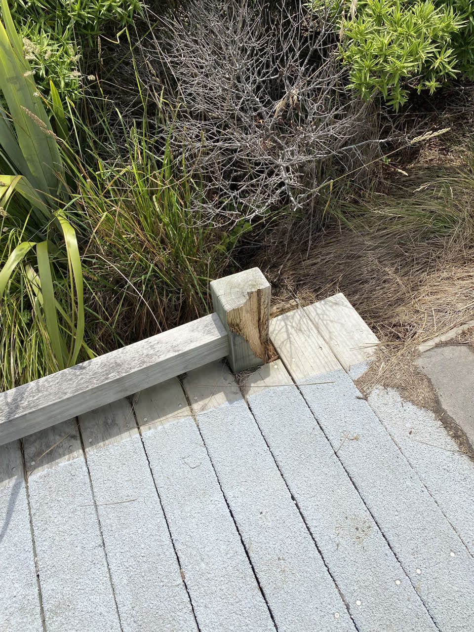 The photograph attached to this parks report
