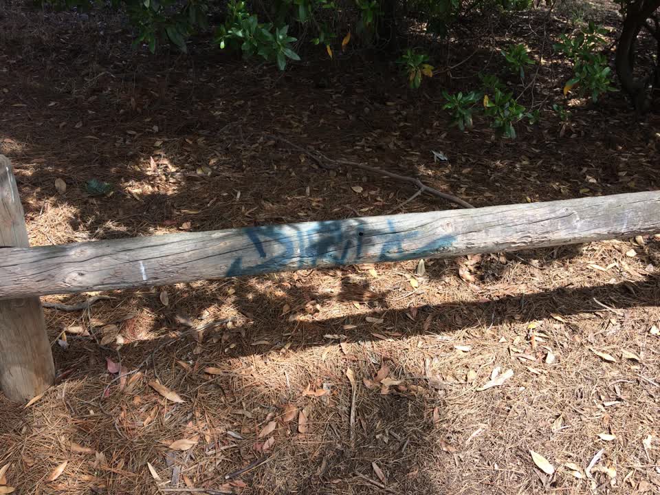 The photograph attached to this graffiti report