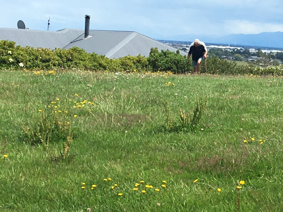 The photograph attached to this parks report