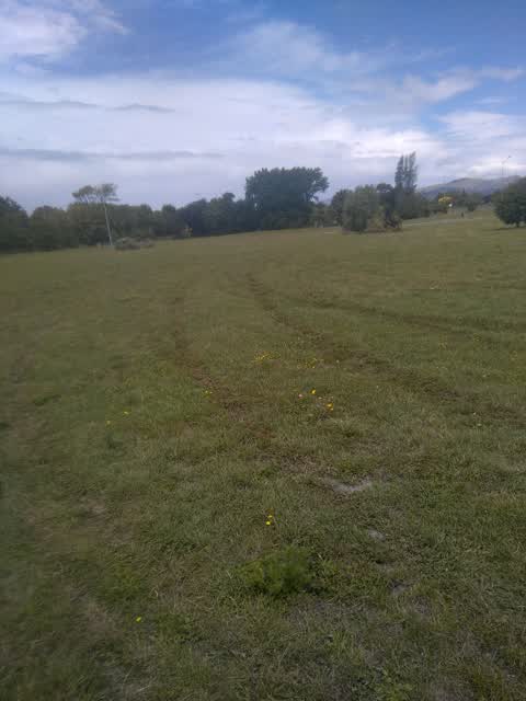 Parks, a report photo