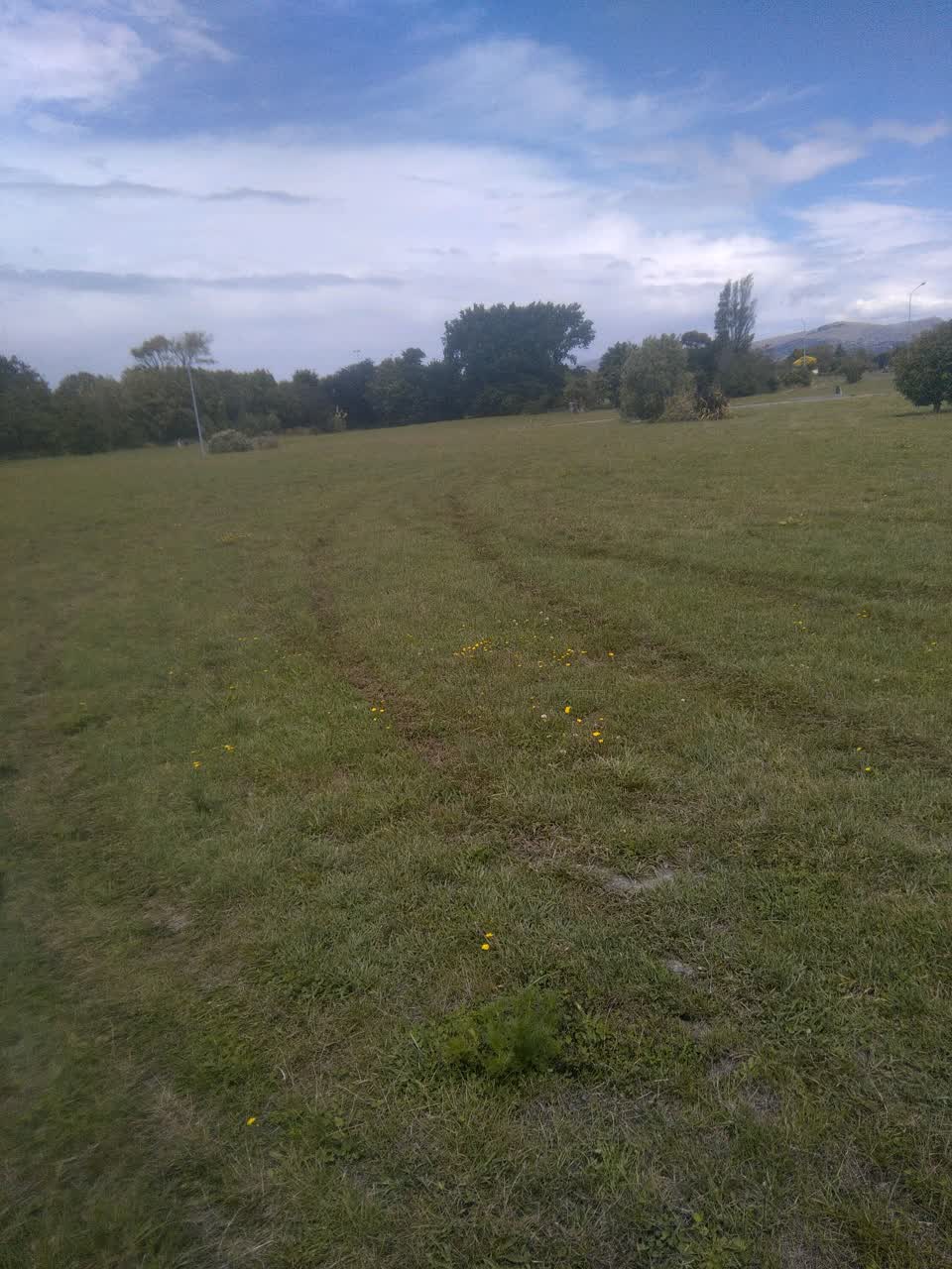 The photograph attached to this parks report