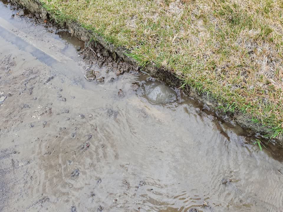 The photograph attached to this water leak report