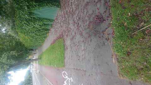Street Light Outage, a report photo