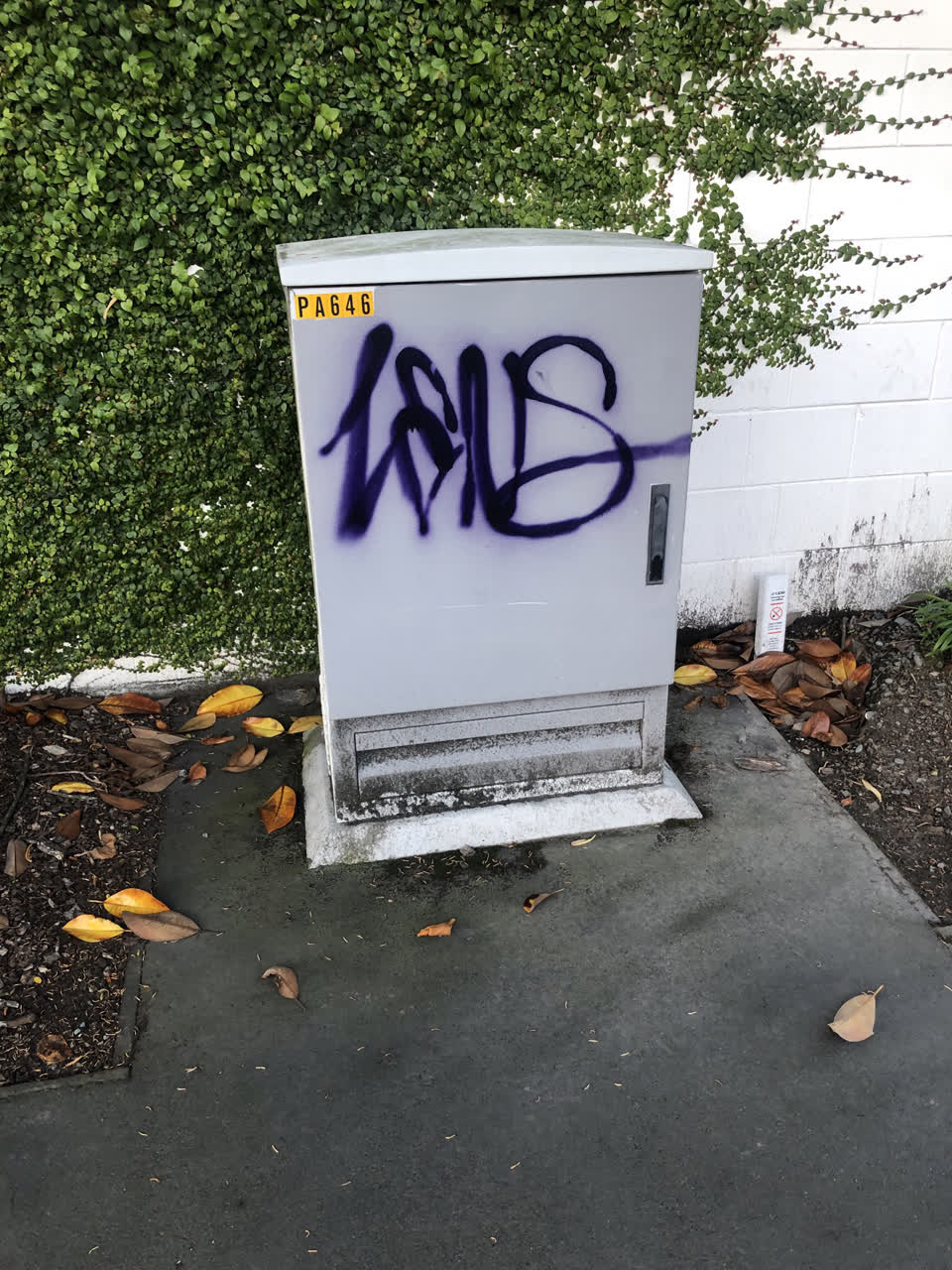The photograph attached to this graffiti report