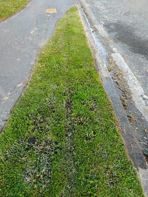 Water Leak, a report photo