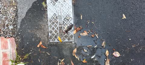 Sewer - Leak / Blockage, a report photo