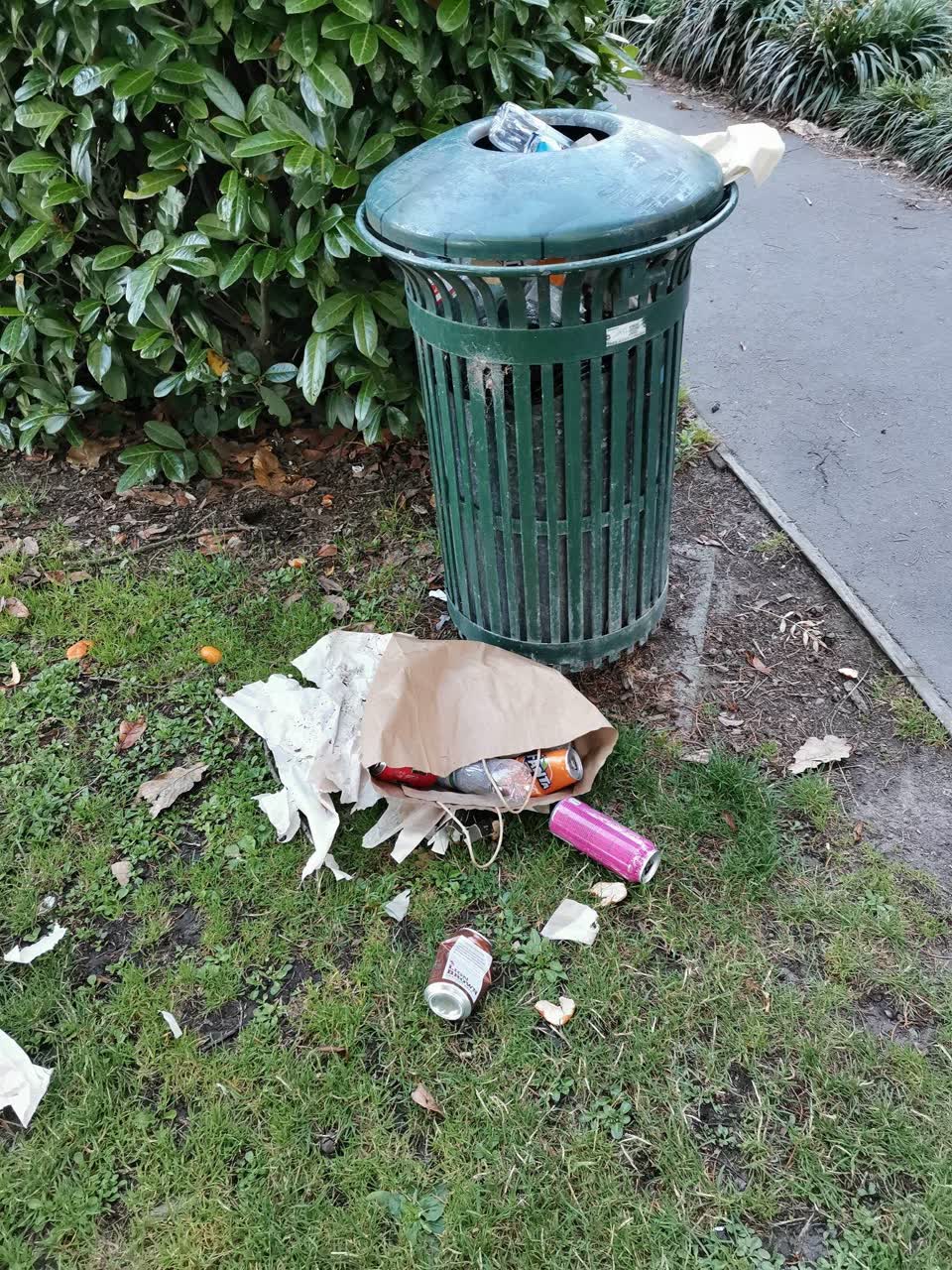 The photograph attached to this parks report