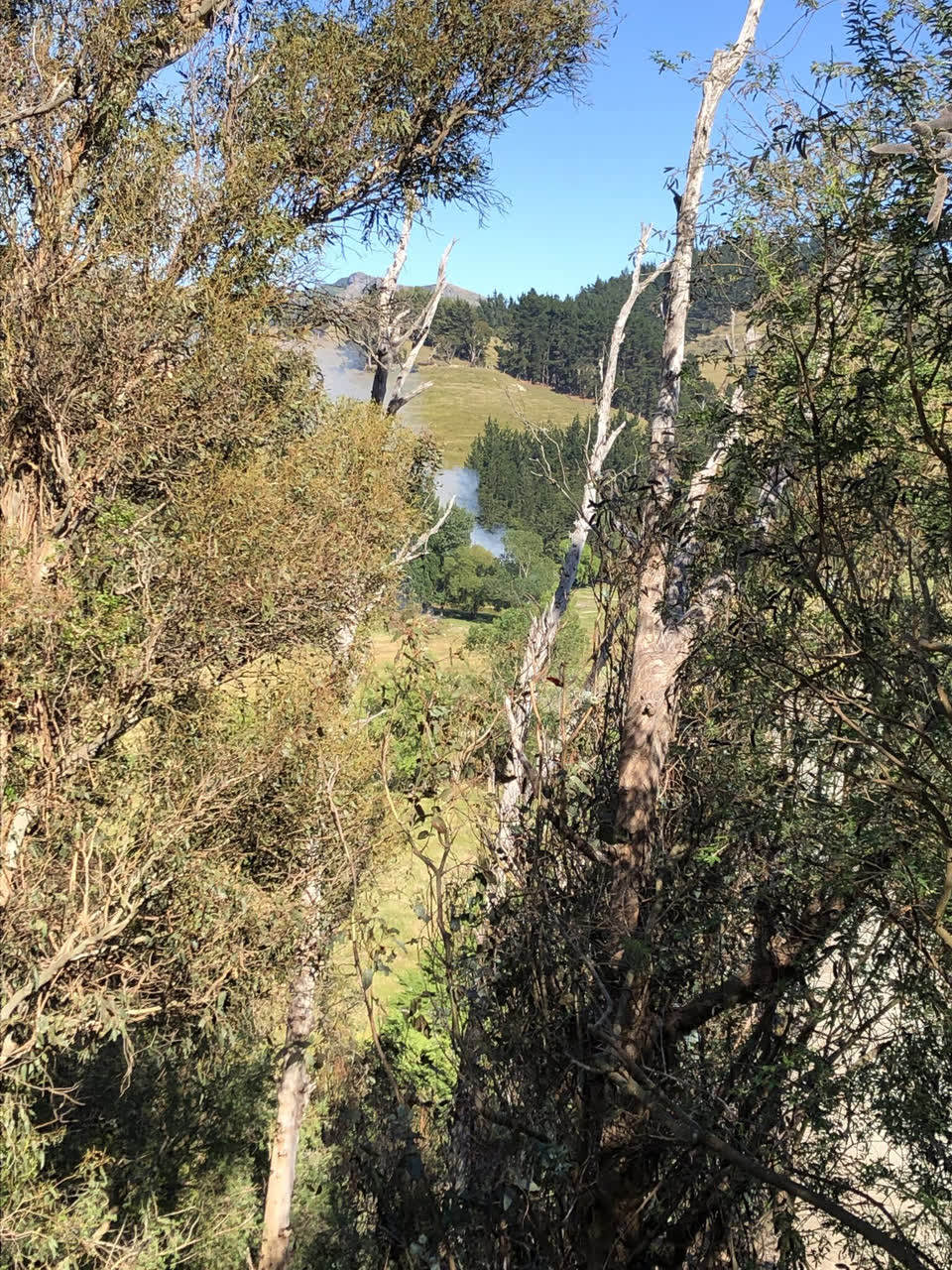 The photograph attached to this parks report