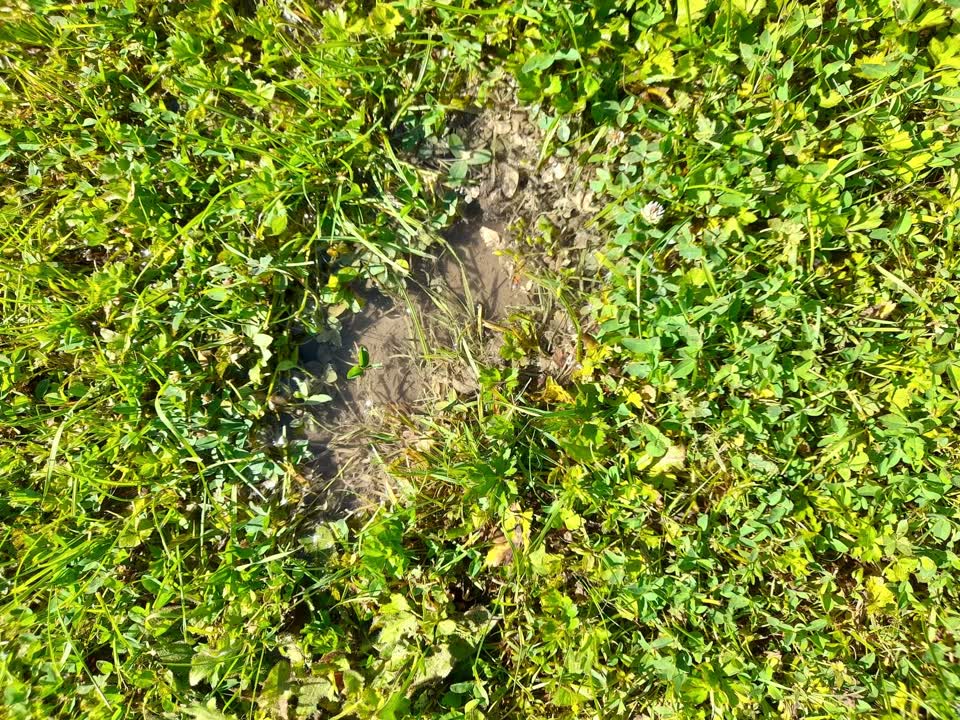 The photograph attached to this water leak report