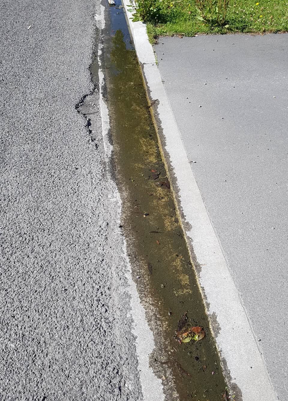 The photograph attached to this water leak report