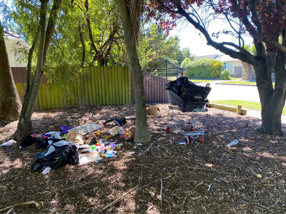 The photograph attached to this parks report