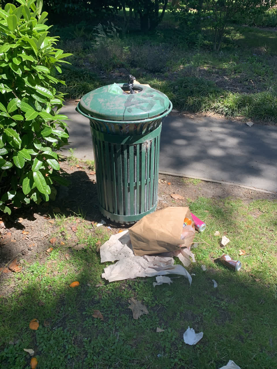 The photograph attached to this parks report